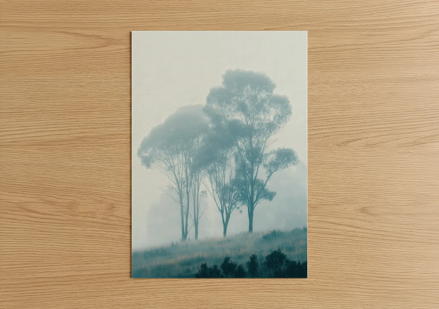 Misty Eucalyptus Forest Landscape Wall Art