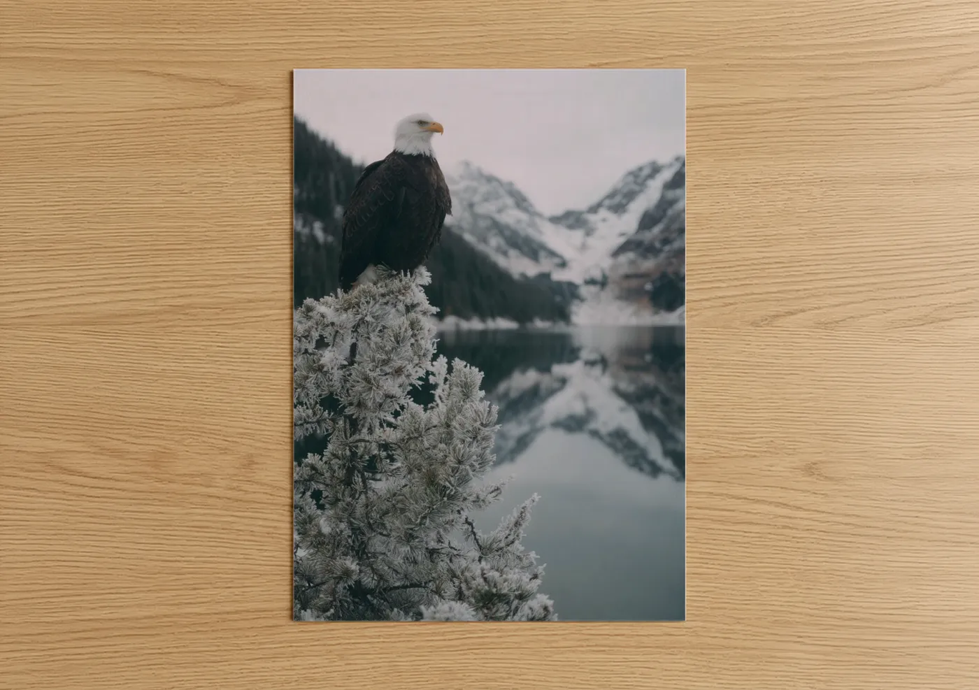 Majestic Eagle Mountain Lake Winter Wall Art