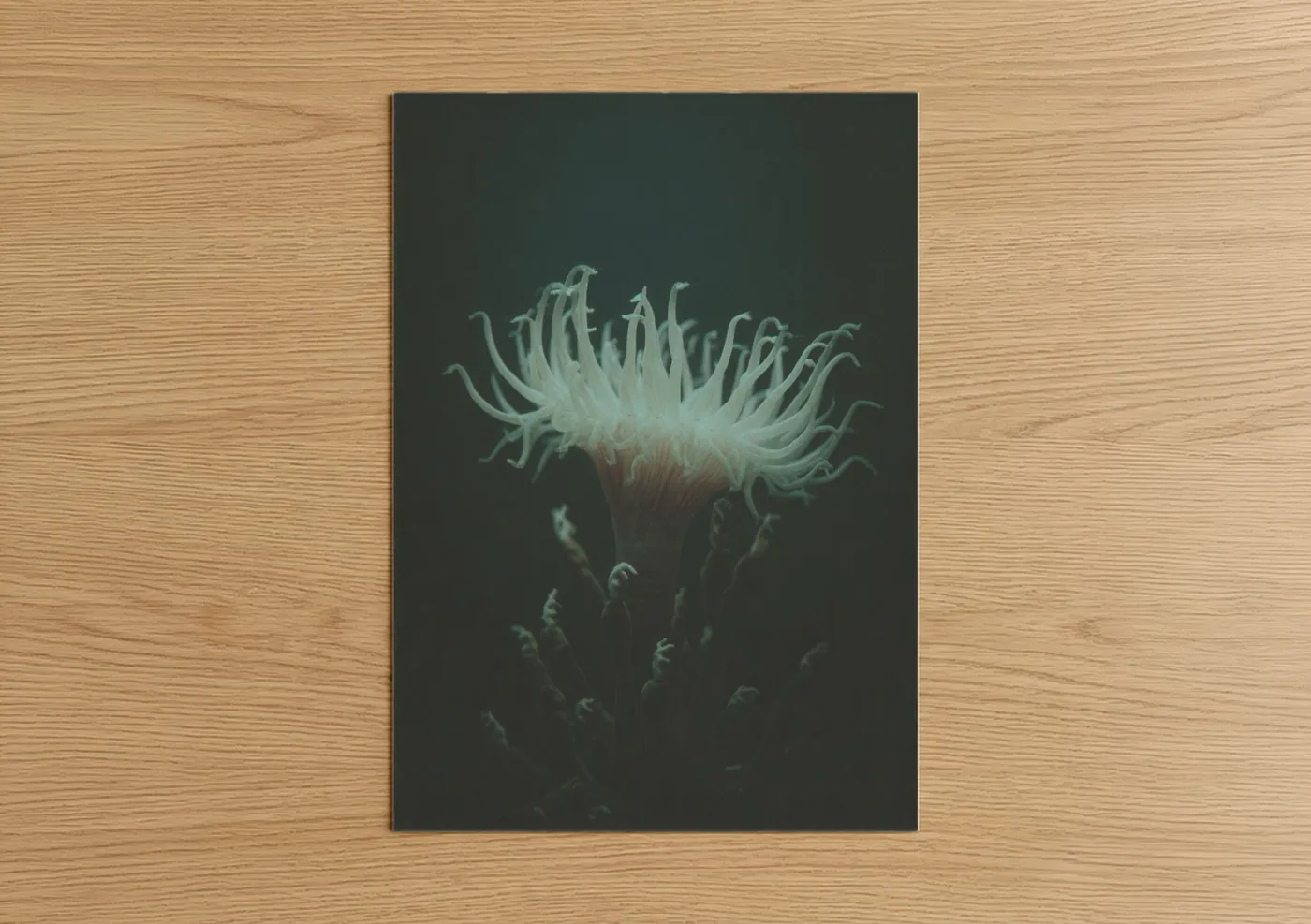 Art print on warm oak wood — sage green and cream palette — Ethereal Sea Anemone poster