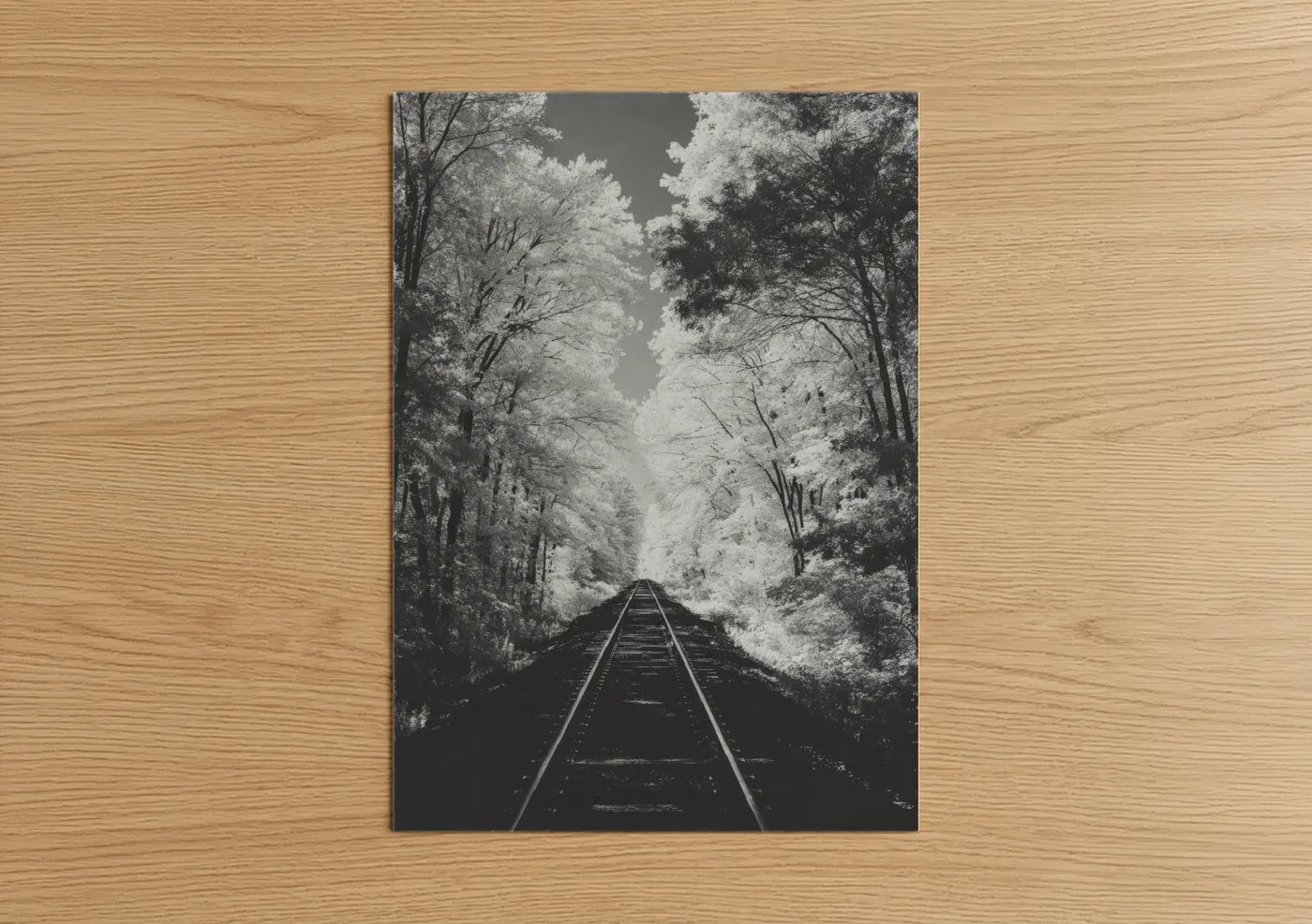 Black and White Forest Train Tracks Wall Art