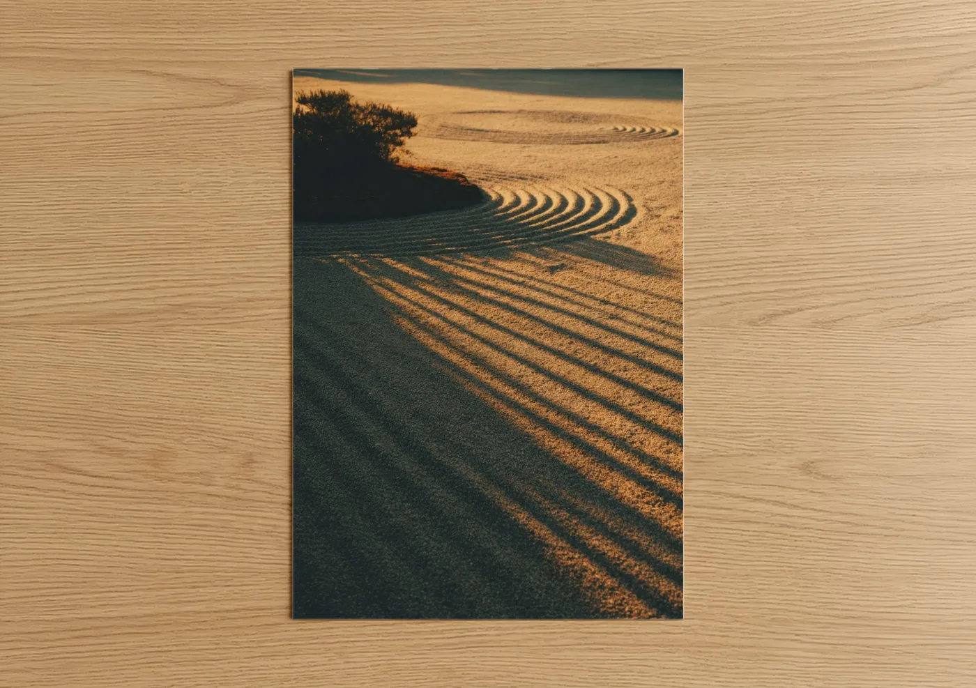Golden Sunrise Over Plowed Field Wall Art