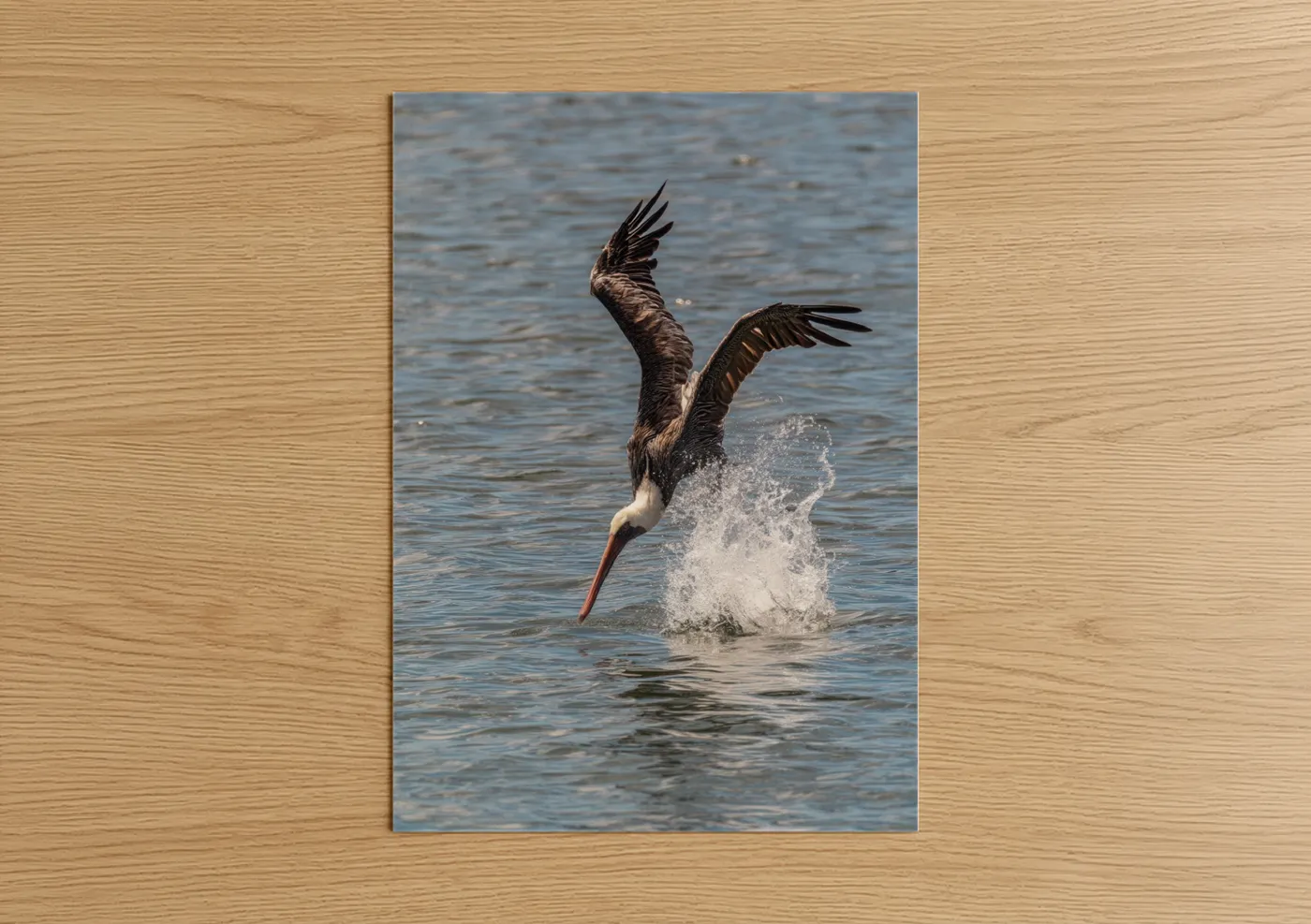 Diving Pelican Ocean Action Photography Wall Art