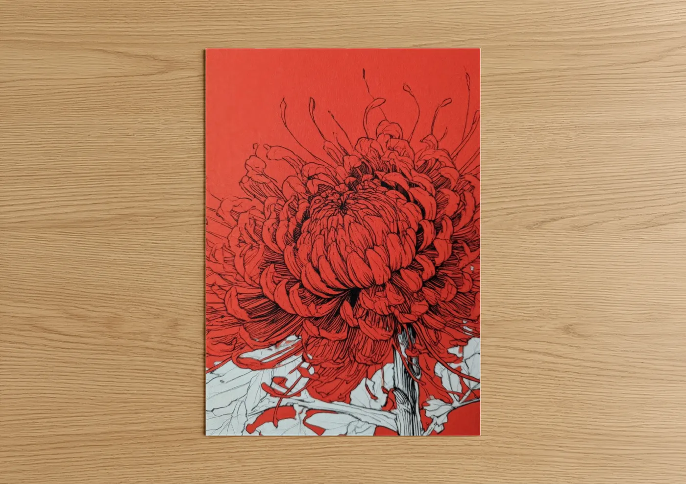 Crimson Chrysanthemum Line Art Illustration Wall Art