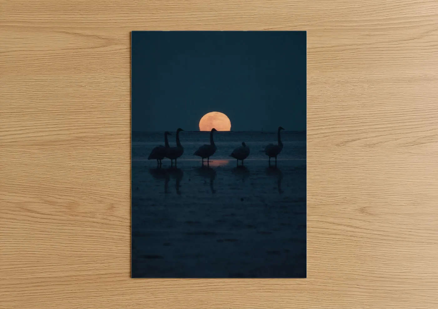 Swans Silhouette Sunset Beach Wall Art