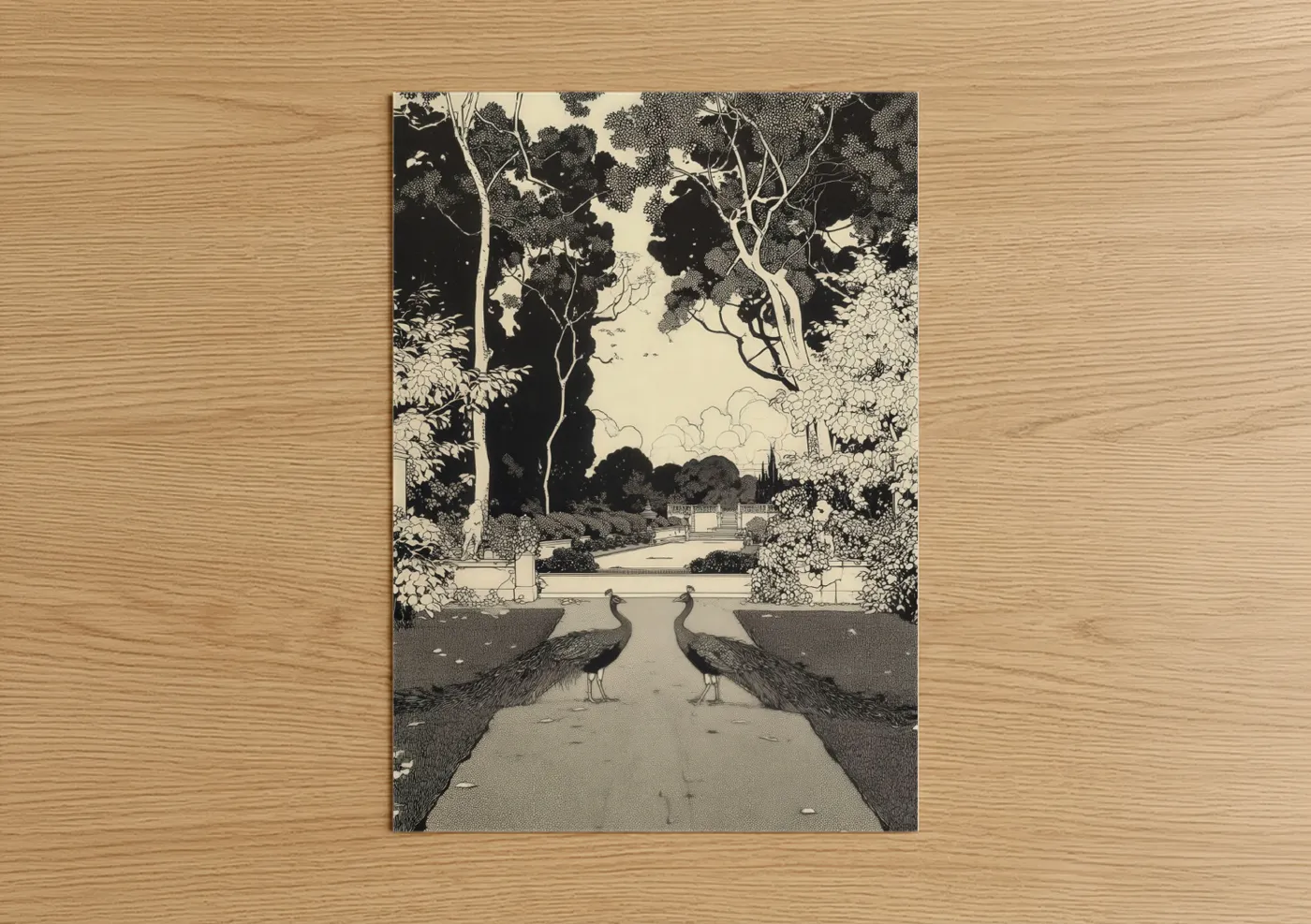 Peacock Garden Path Black White Wall Art