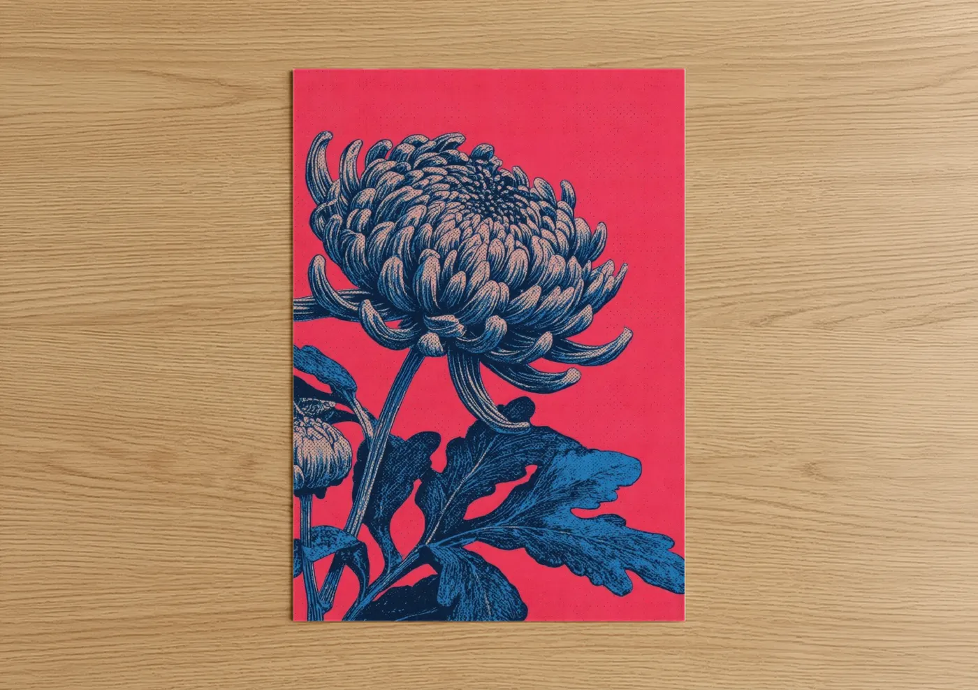 Crimson Chrysanthemum Bold Botanical Wall Art