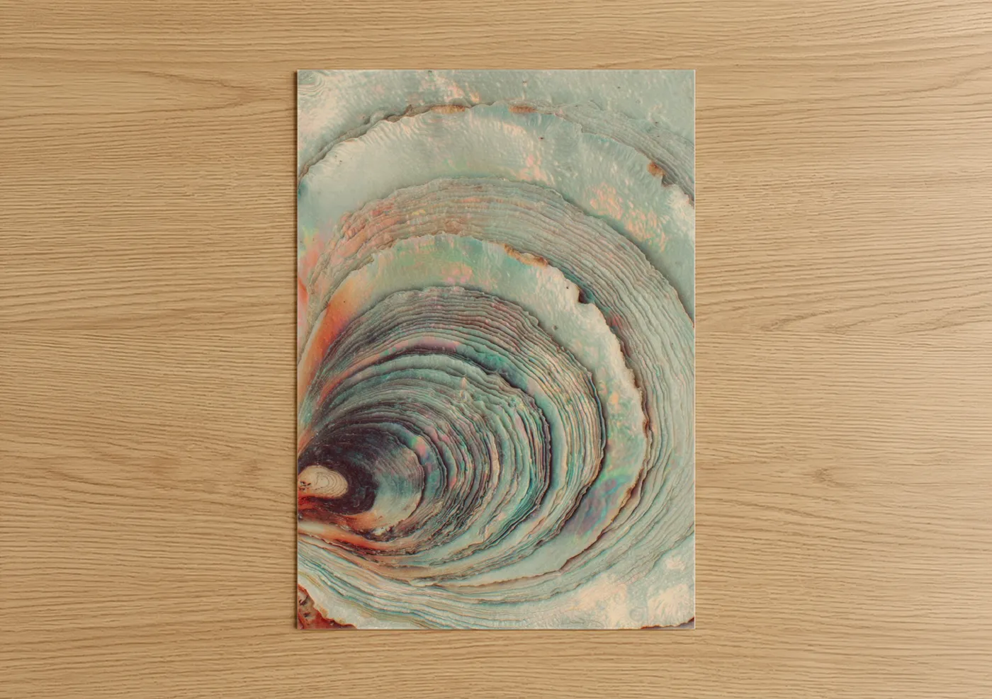 Spiral Oyster Shell Watercolor Abstract Wall Art