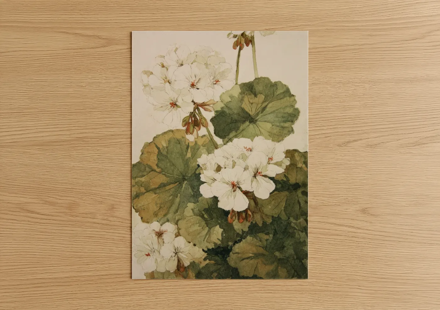 Art print on warm oak wood — cream and sage green palette — White Geranium Botanical poster