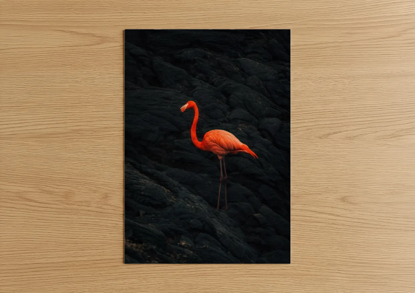 Vibrant Flamingo Against Dark Rock Wall Art