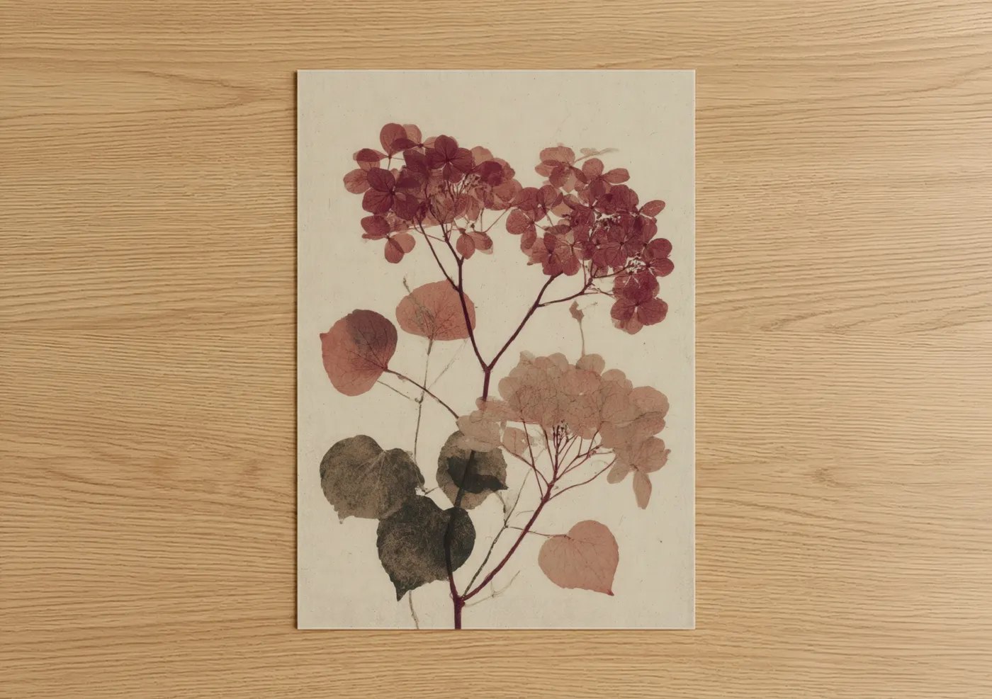 Pressed Hydrangea Botanical Wall Art