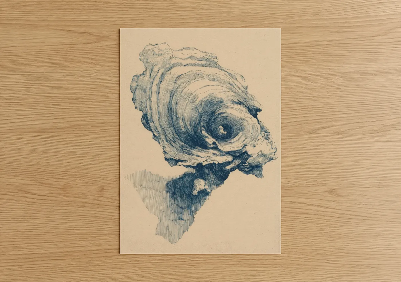 Oyster Shell Study Blue Ink Drawing Wall Art