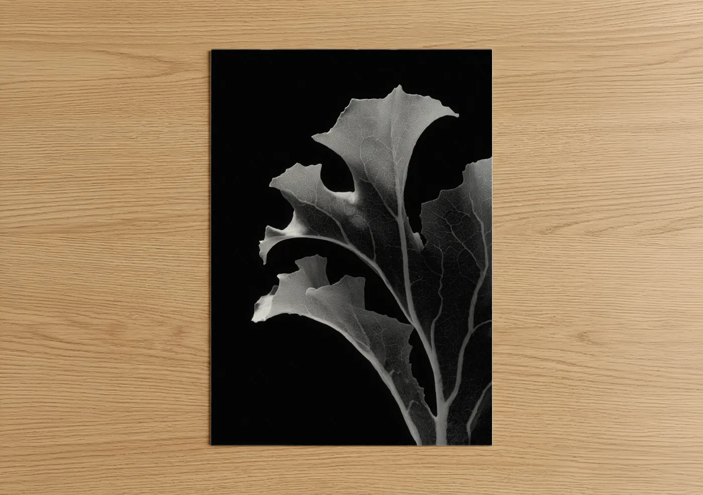 Monochrome Leafy Greens Fine Wall Art