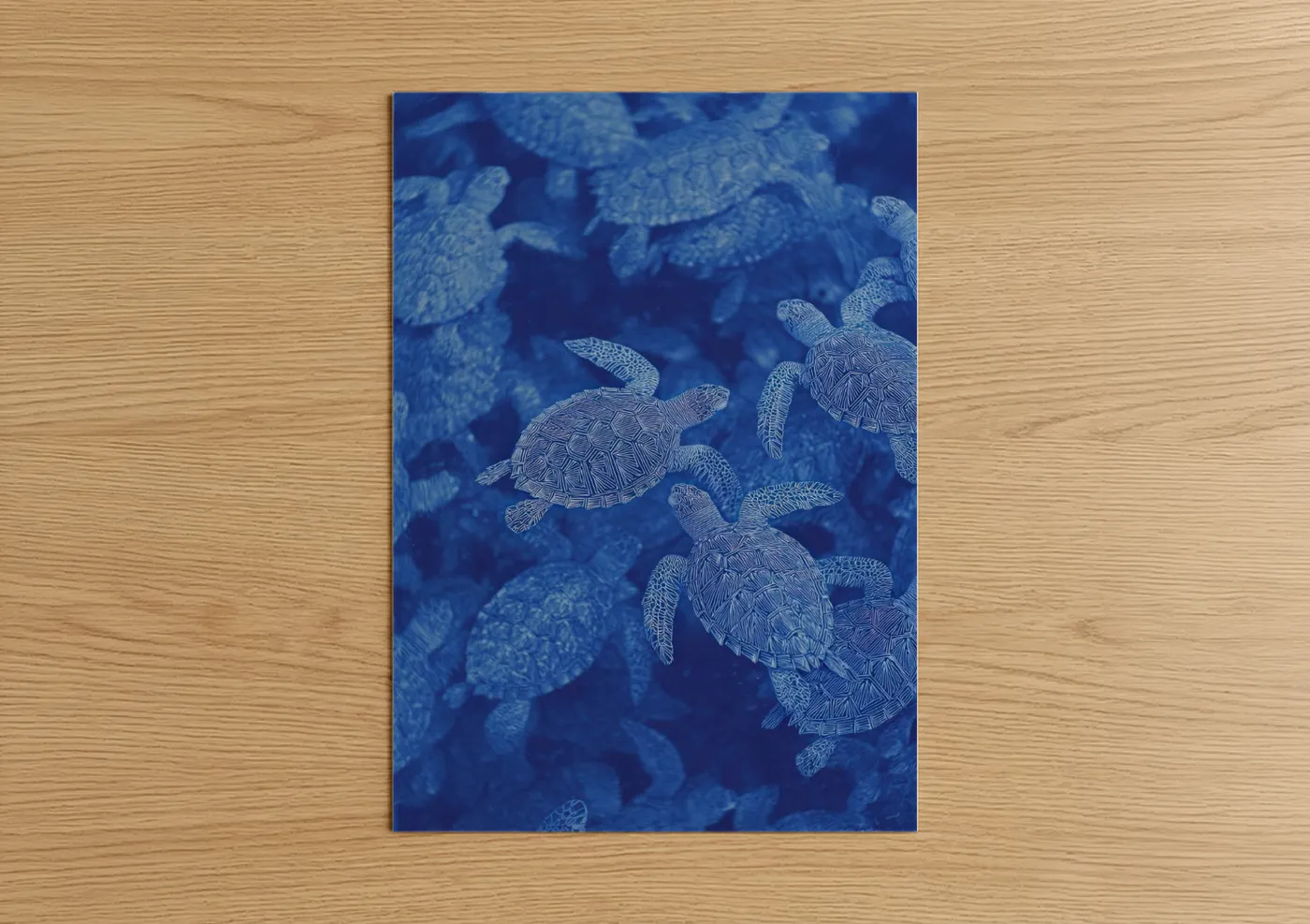Sea Turtle Hatchlings Ocean Blue Wall Art