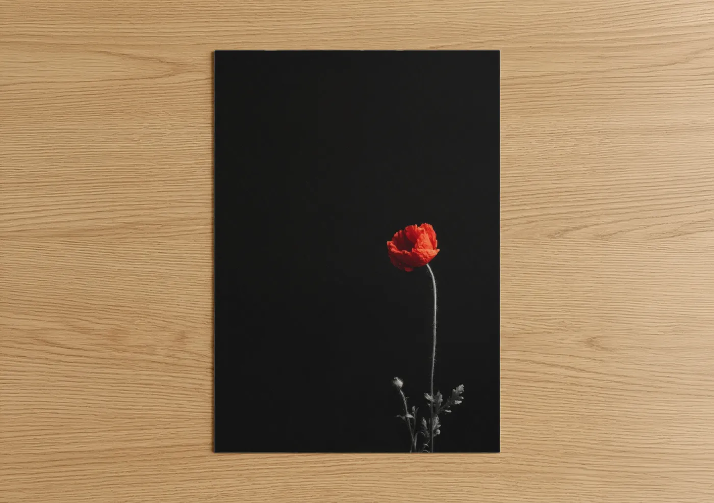Abstract flower art print on warm oak wood — red and black palette — Crimson Poppy Solitude poster