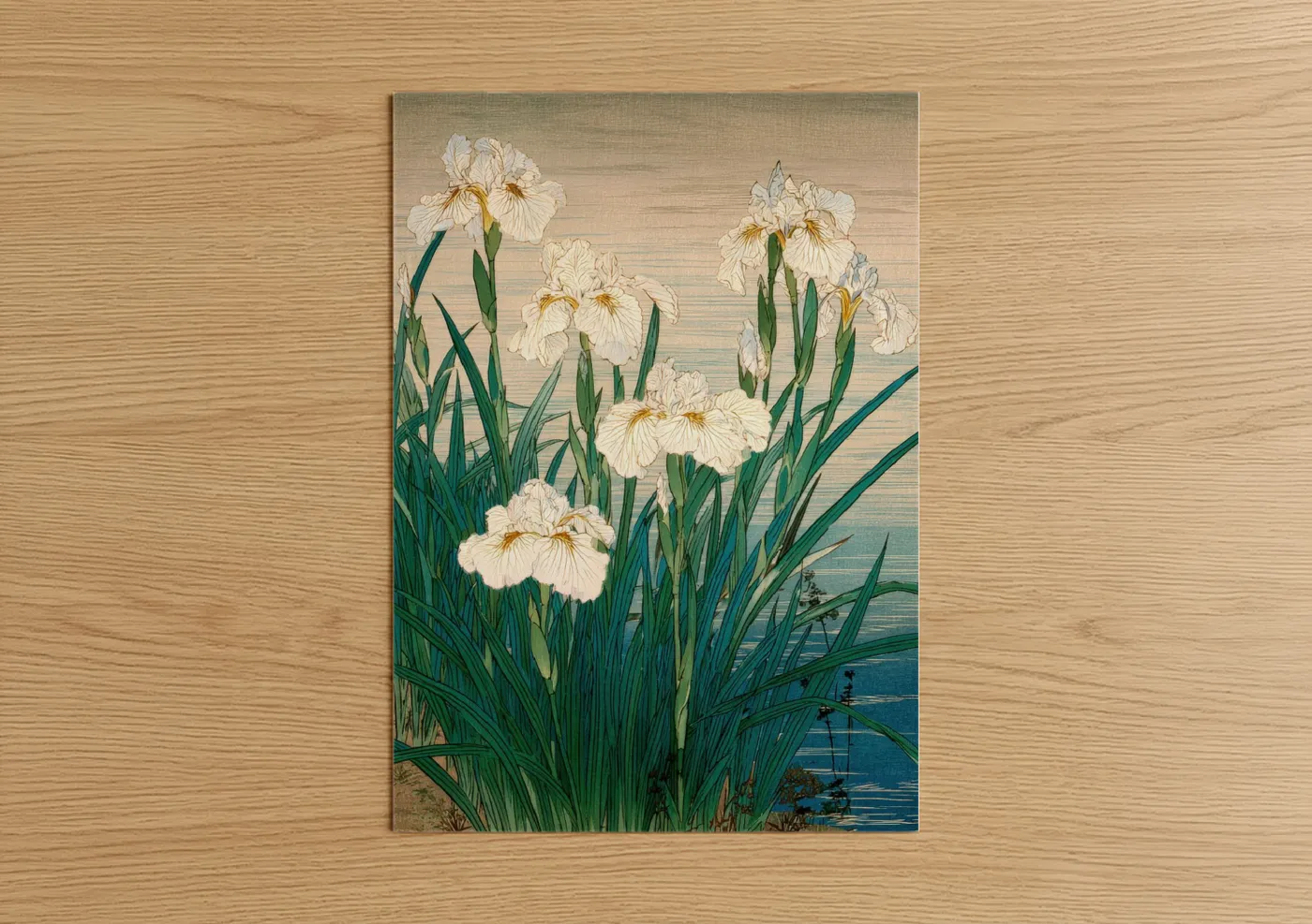 White Iris Flowers Botanical Art Print Wall Art