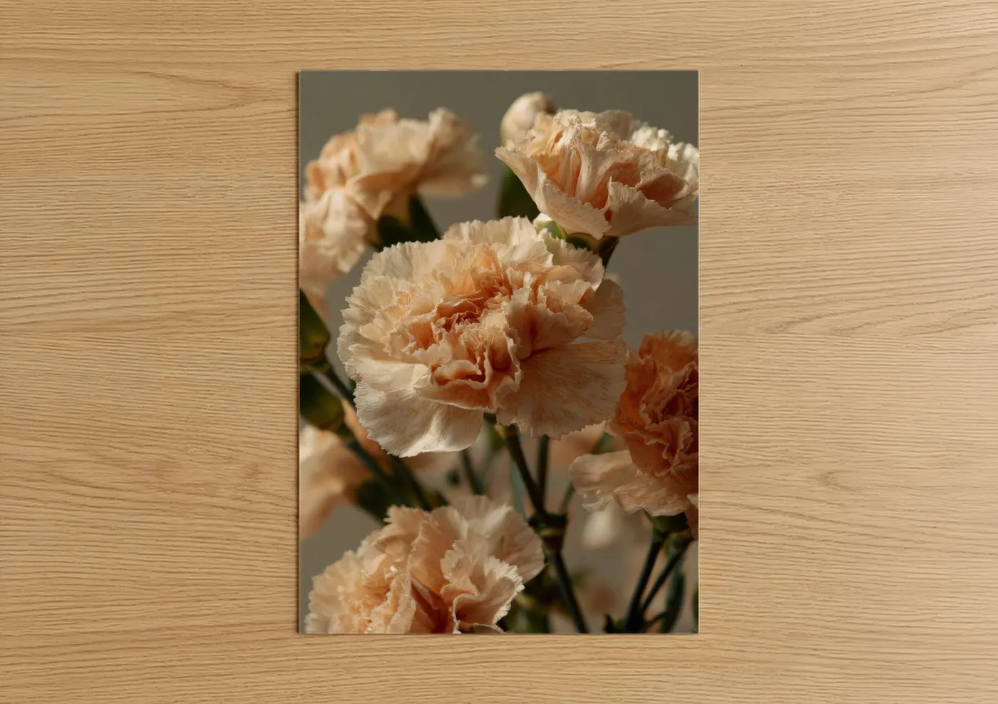 Art print on warm oak wood — peach and cream palette — Peach Carnations poster