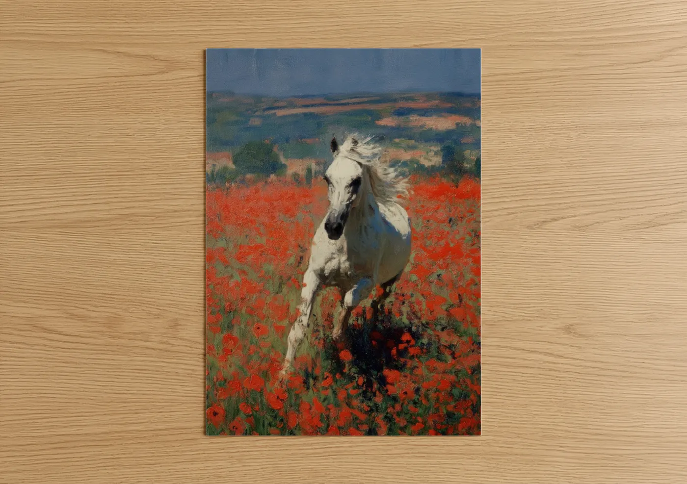 White Arabian Horse Poppy Field Wall Art