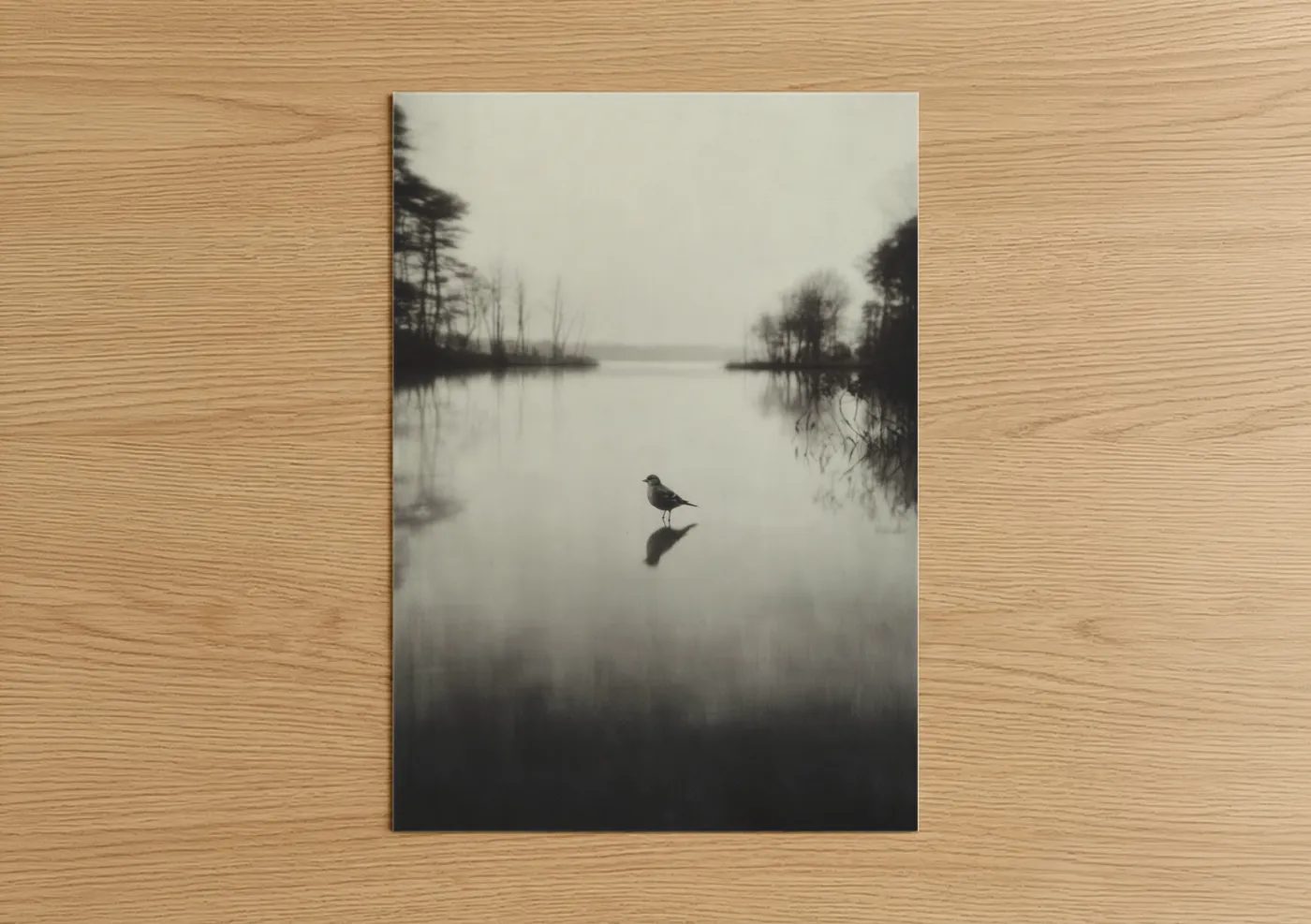 Solitary Finch Misty Lake Reflection Wall Art