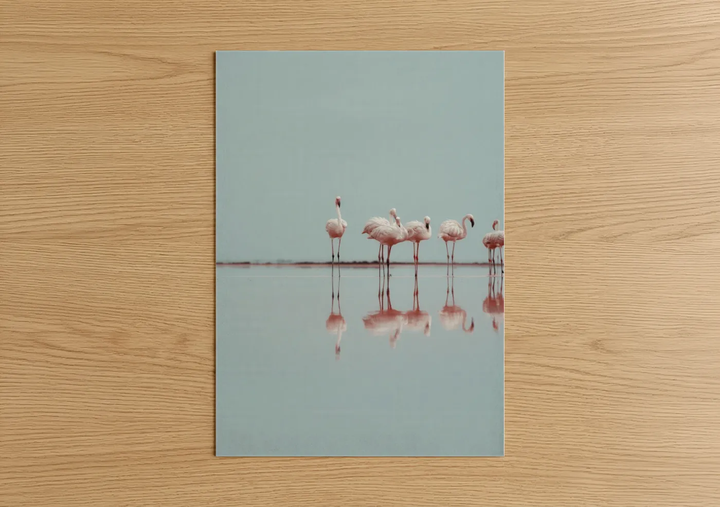 Art print on warm oak wood — blue and white and salmon pink palette — Serene Flamingos poster