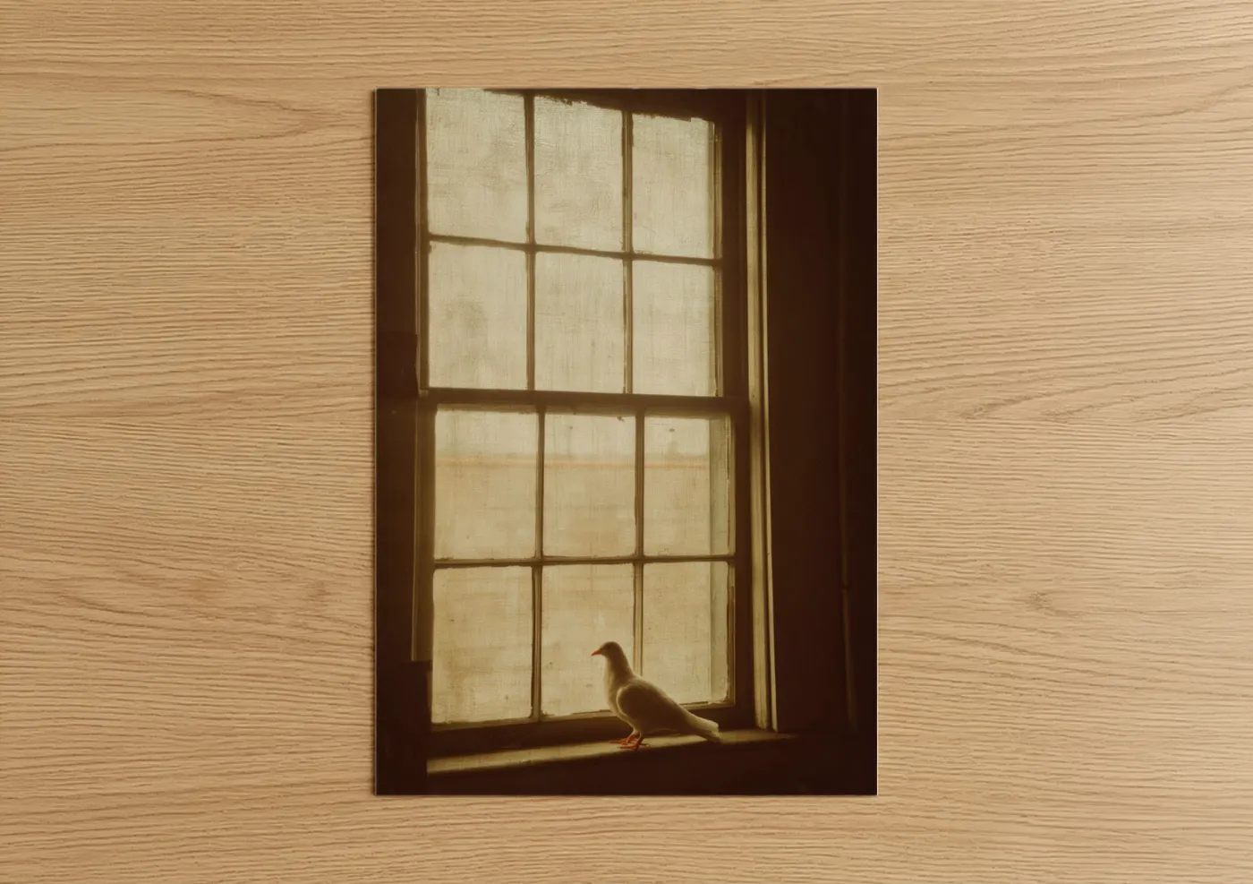 Solitary Dove Window Light Wall Art