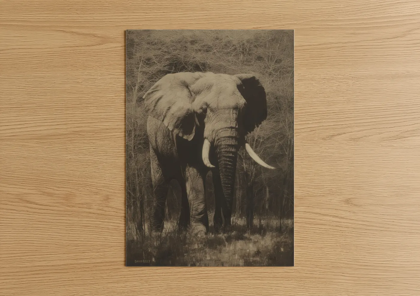 Savanna Elephant Portrait Wildlife Art Wall Art