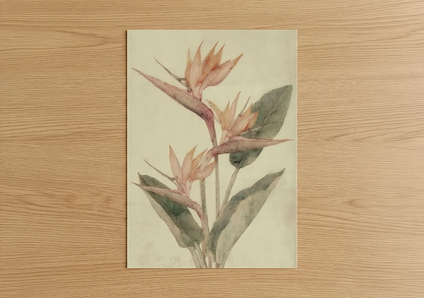 Birds of paradise art print on warm oak wood — cream and sage green palette — Delicate Bird Paradise poster