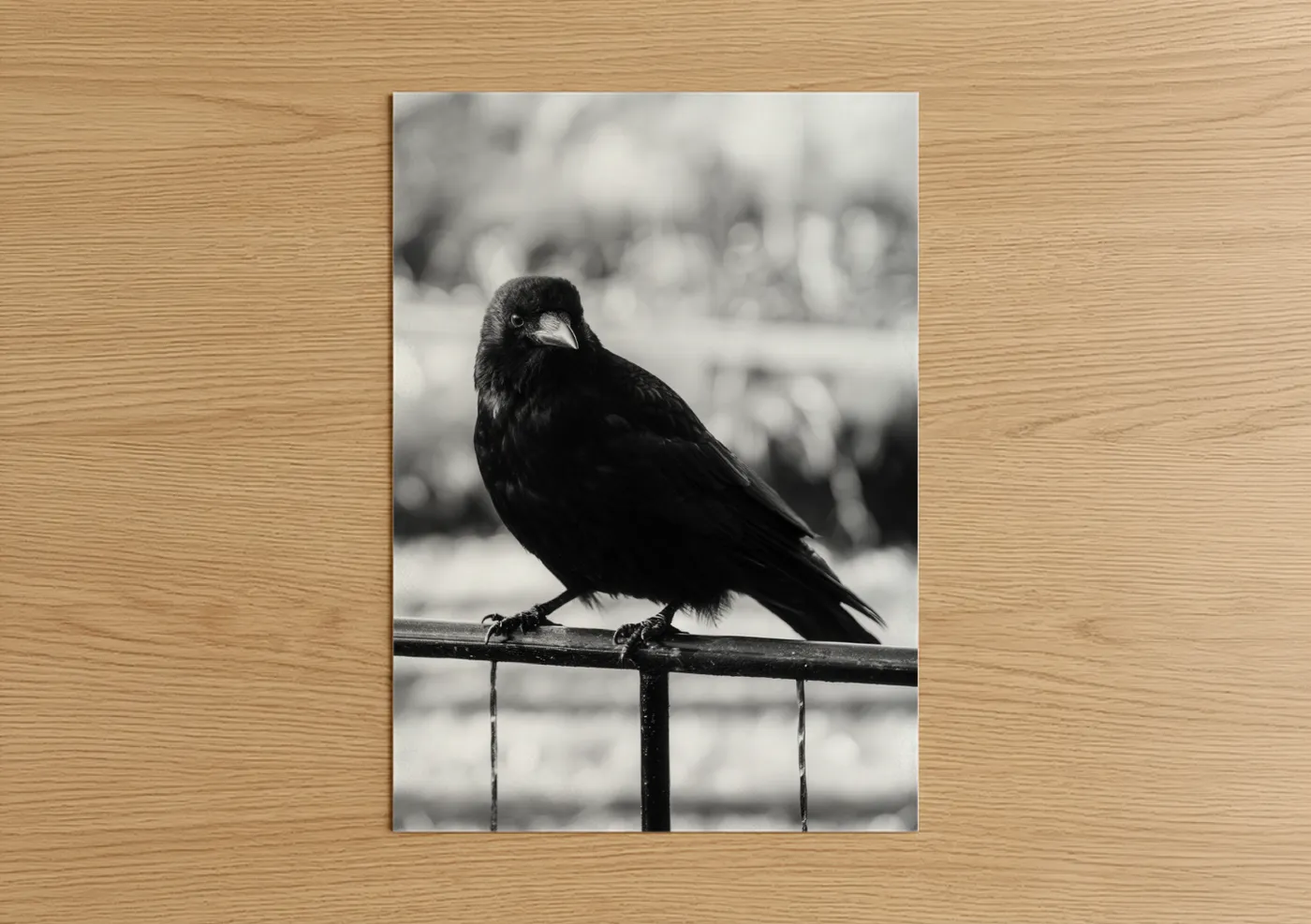 Black Raven Perched on Rail Portrait Wall Art