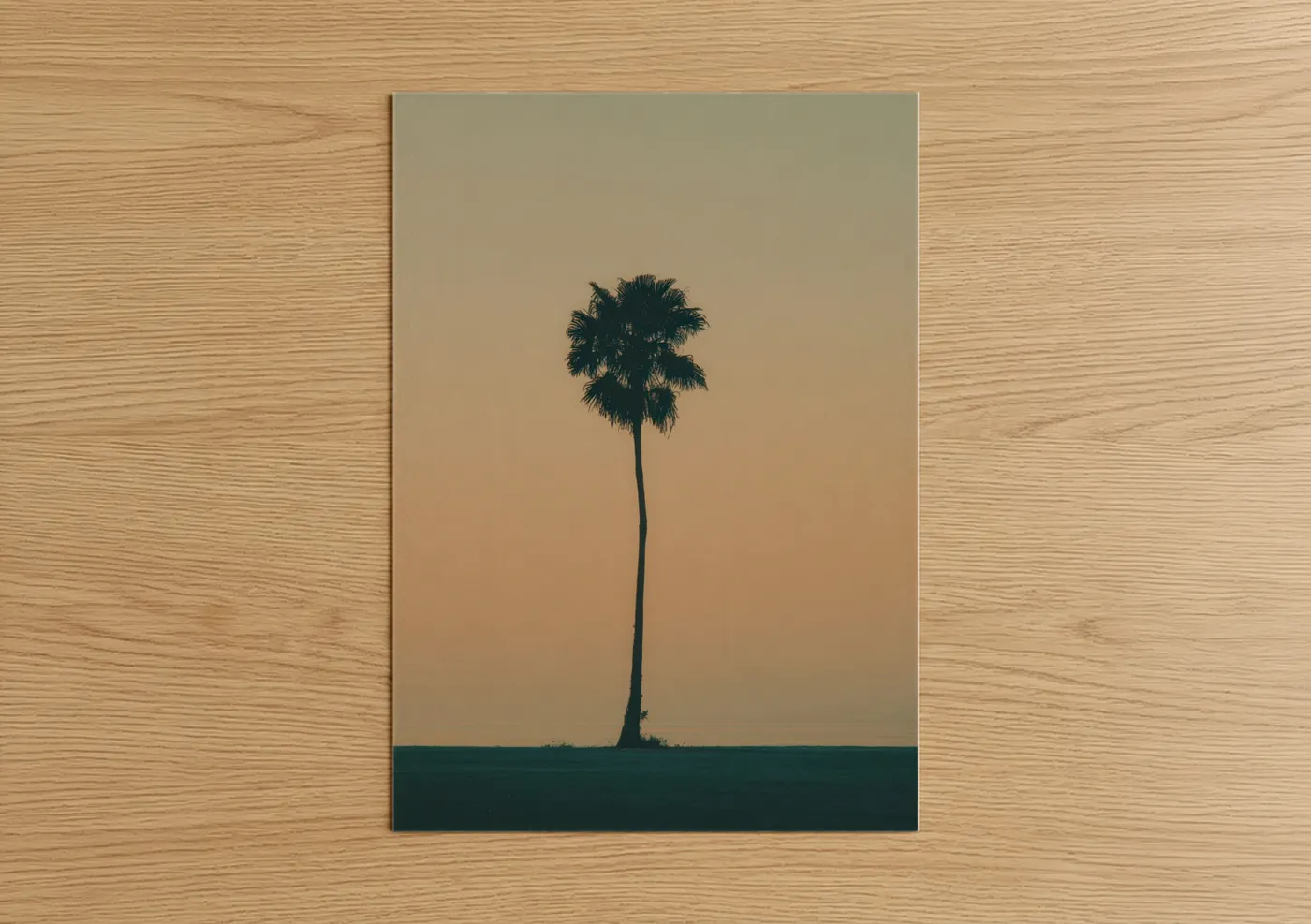 Solitary Palm Tree Minimalist Sunset Wall Art