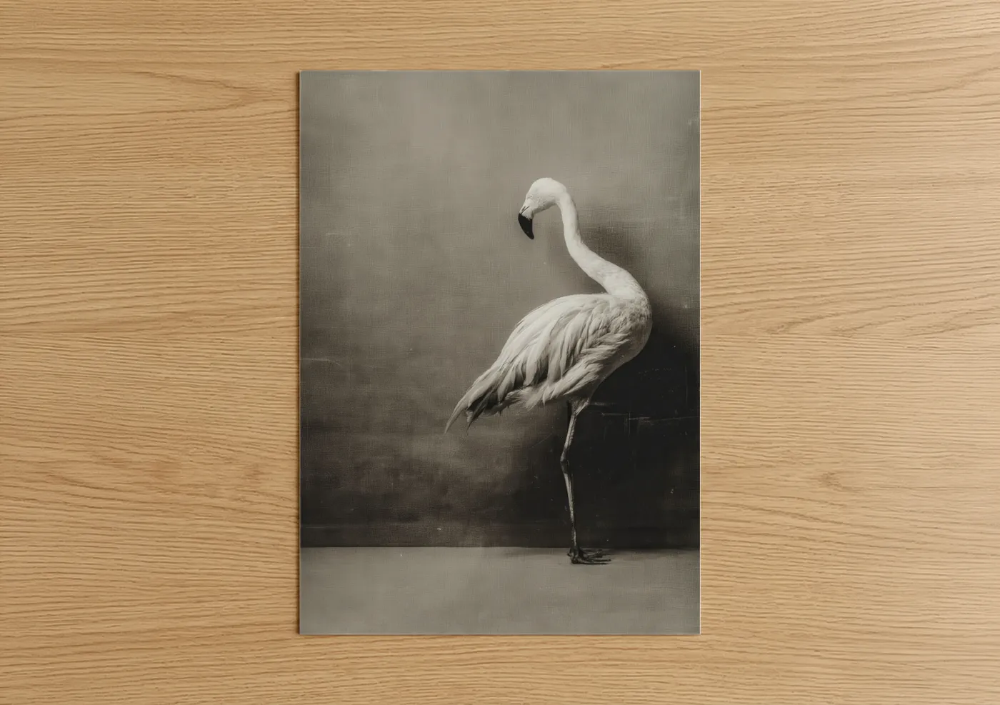Elegant White Crane Bird Portrait Wall Art