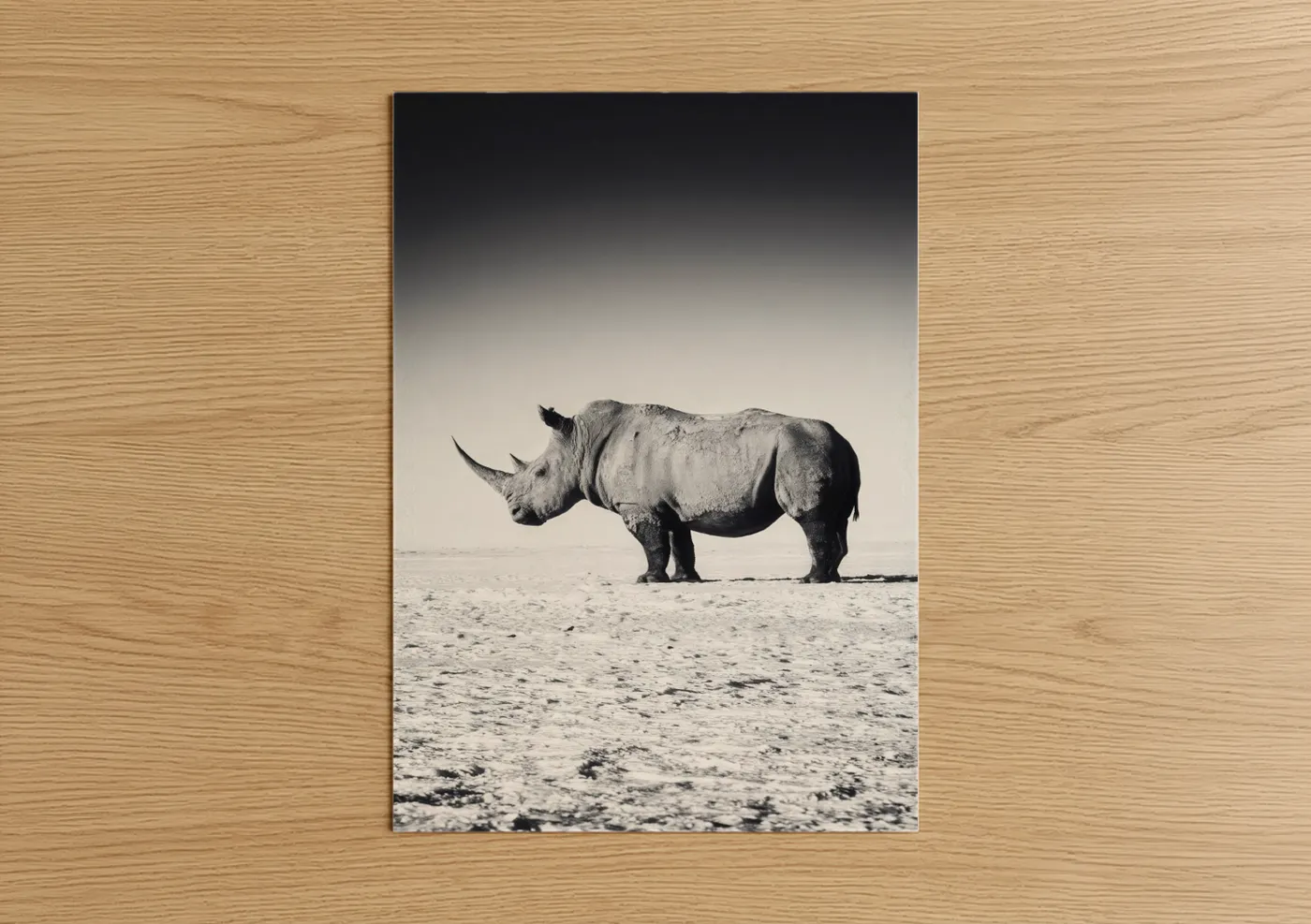 Art print on warm oak wood — black and white and gray palette — Desert Rhino poster