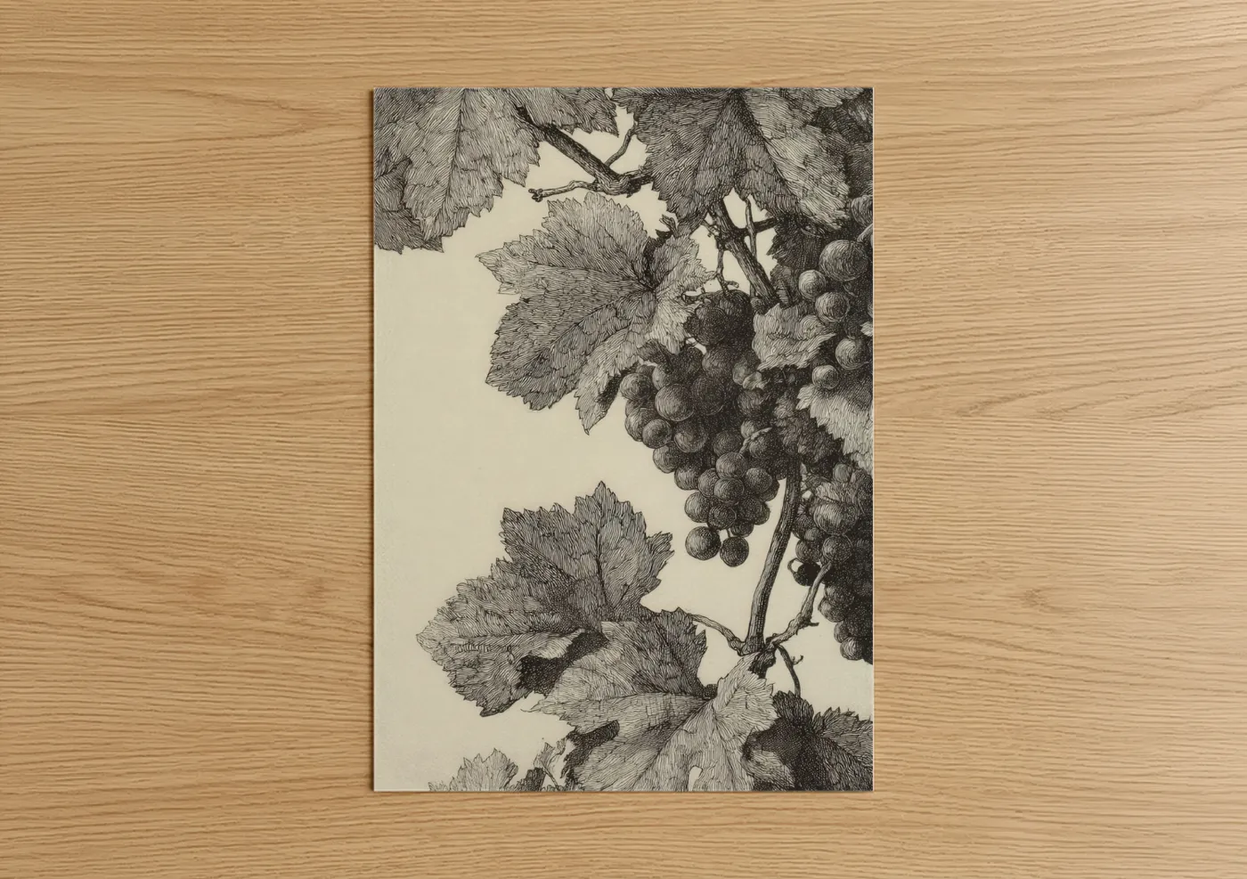 Vineyards art print on warm oak wood — black and white palette — Vineyard Harvest poster