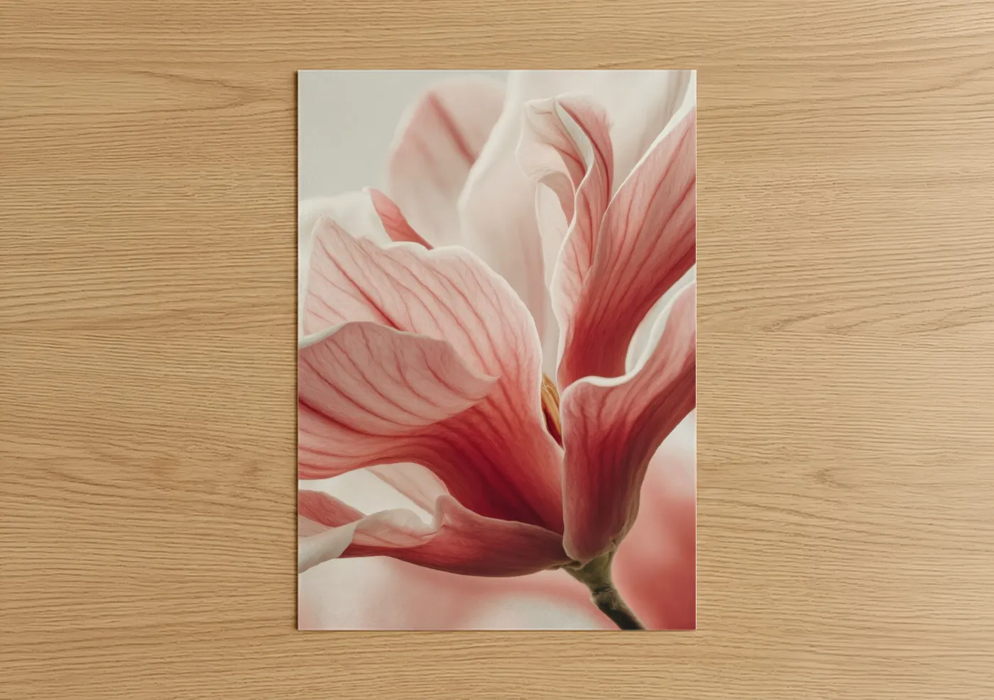 Crimson Magnolia Bloom Floral Wall Art