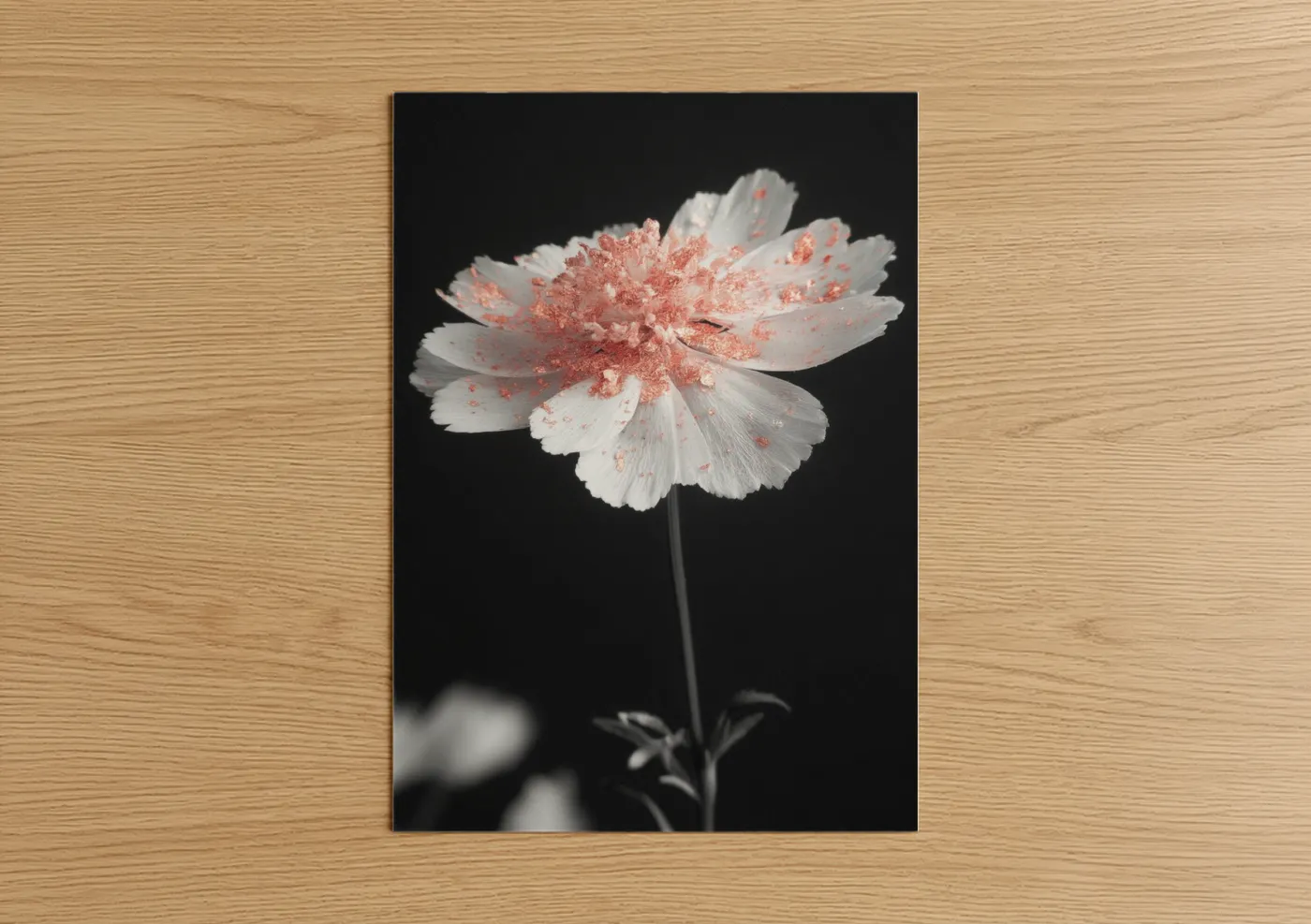 Coral White Flower Abstract Wall Art