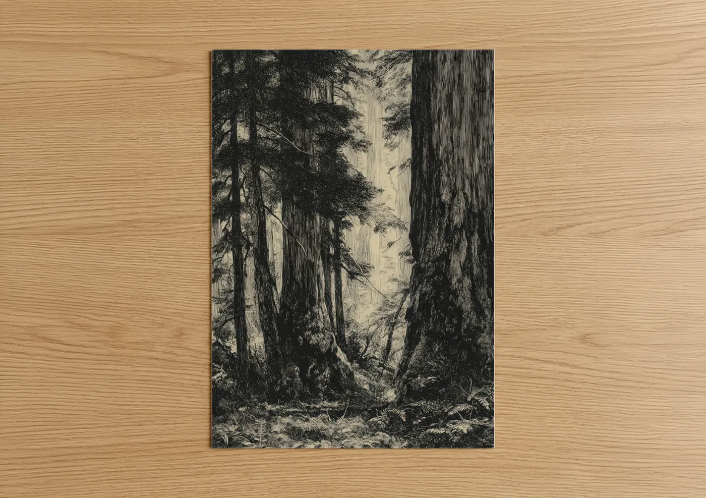 Redwood tree art print on warm oak wood — black and white palette — Ancient Redwood Grove poster