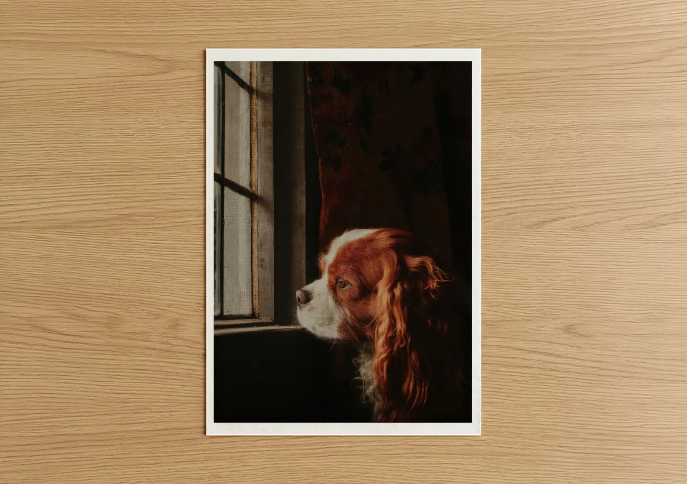 Red and White Spaniel Looking Out Window Wall Art