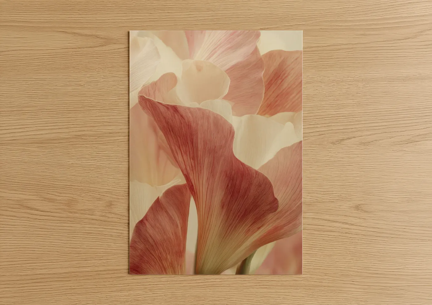 Art print on warm oak wood — salmon pink and cream palette — Blush Lily Petals poster