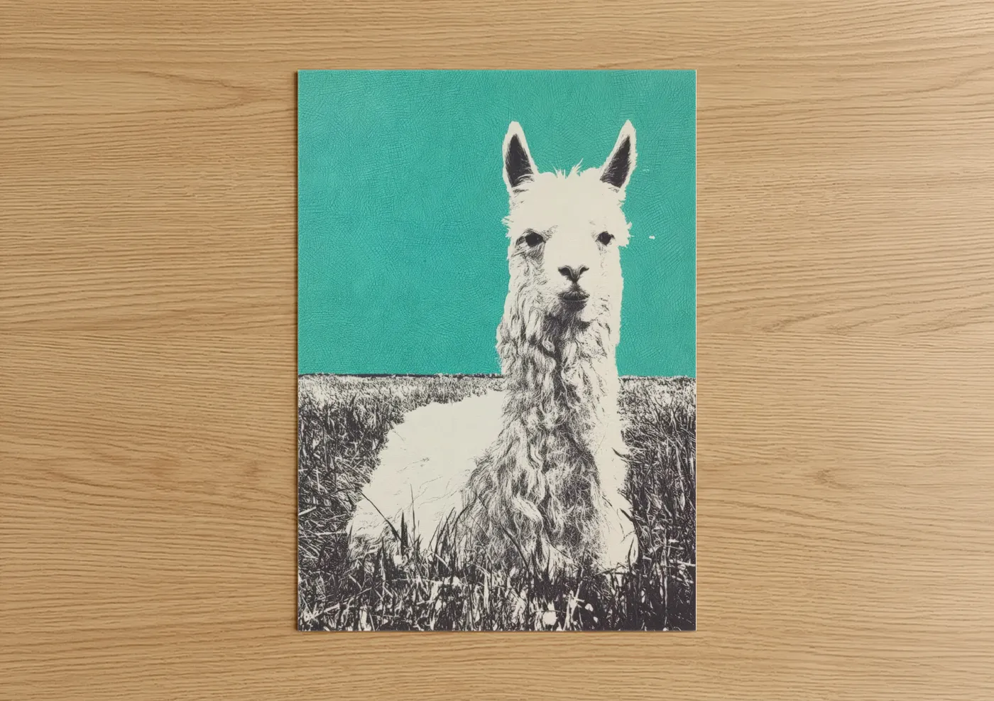 Art print on warm oak wood — turquoise and white palette — Turquoise Alpaca poster