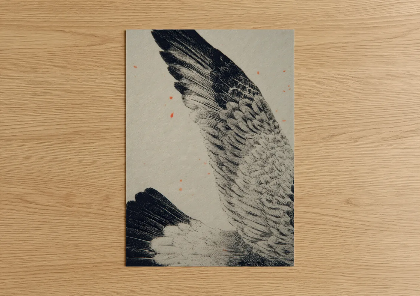 Art print on warm oak wood — black and white and peach palette — Ascending Seagull poster