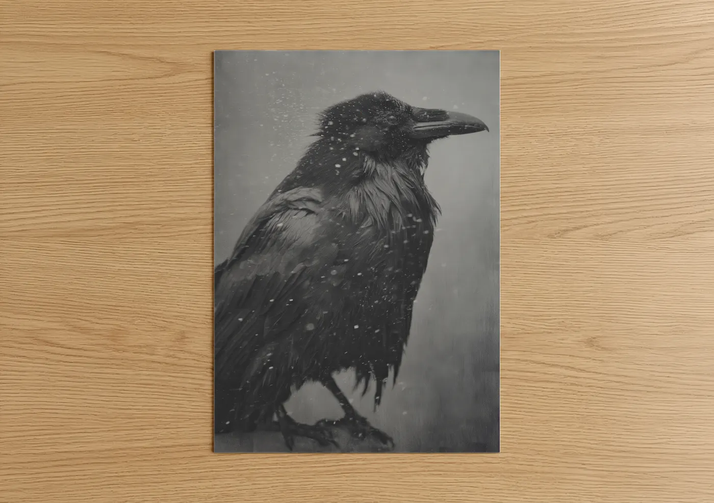 Snowy Raven Wildlife Black and White Wall Art