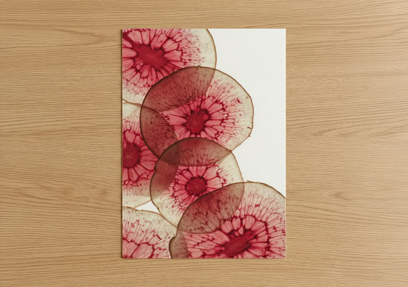 Red Radish Slices Botanical Wall Art