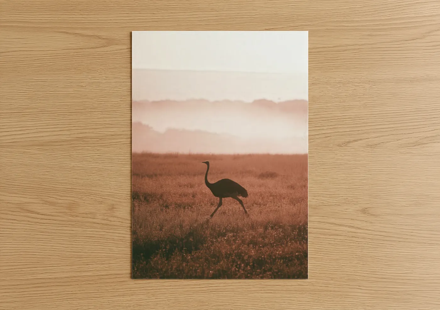 Ostrich in Misty Field Landscape Wall Art
