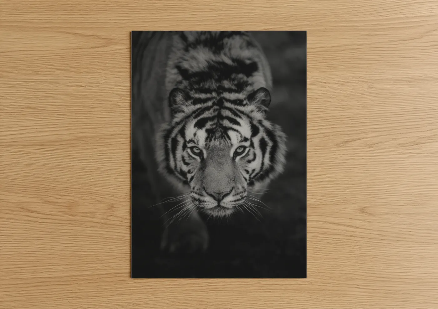 Art print on warm oak wood — black and white palette — Frontal Tiger poster
