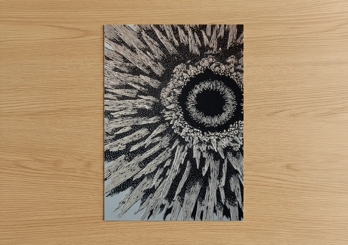 Radiant Sea Urchin Ink Drawing Wall Art