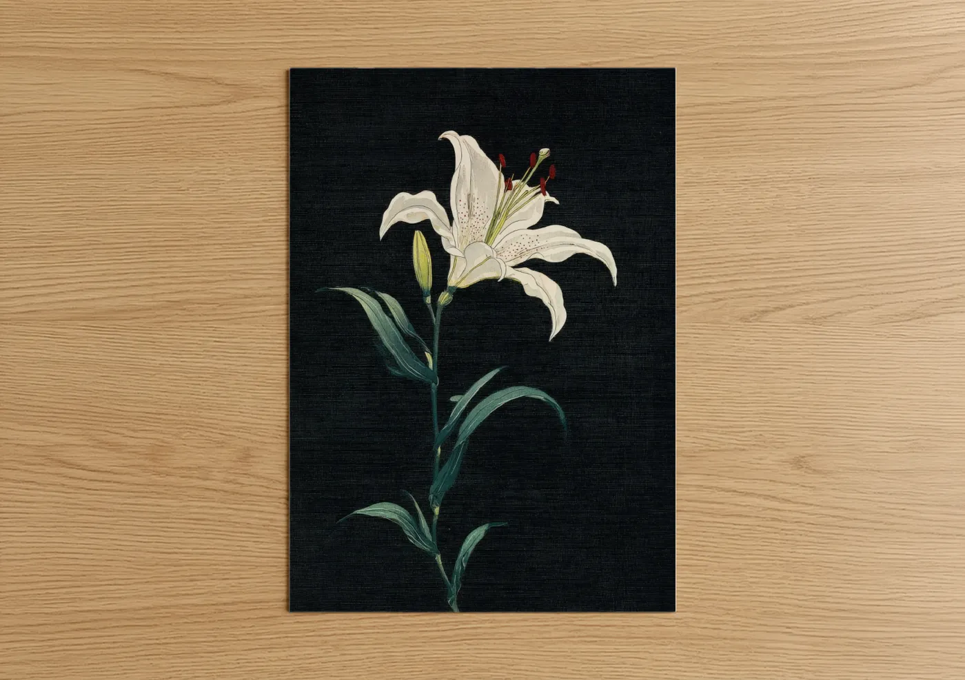 Art print on warm oak wood — white and black palette — White Lily Study poster