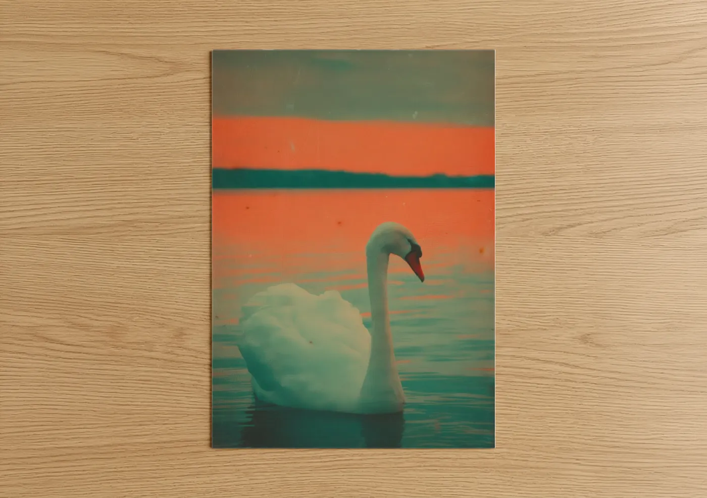 Art print on warm oak wood — orange and teal palette — Sunset Swan poster