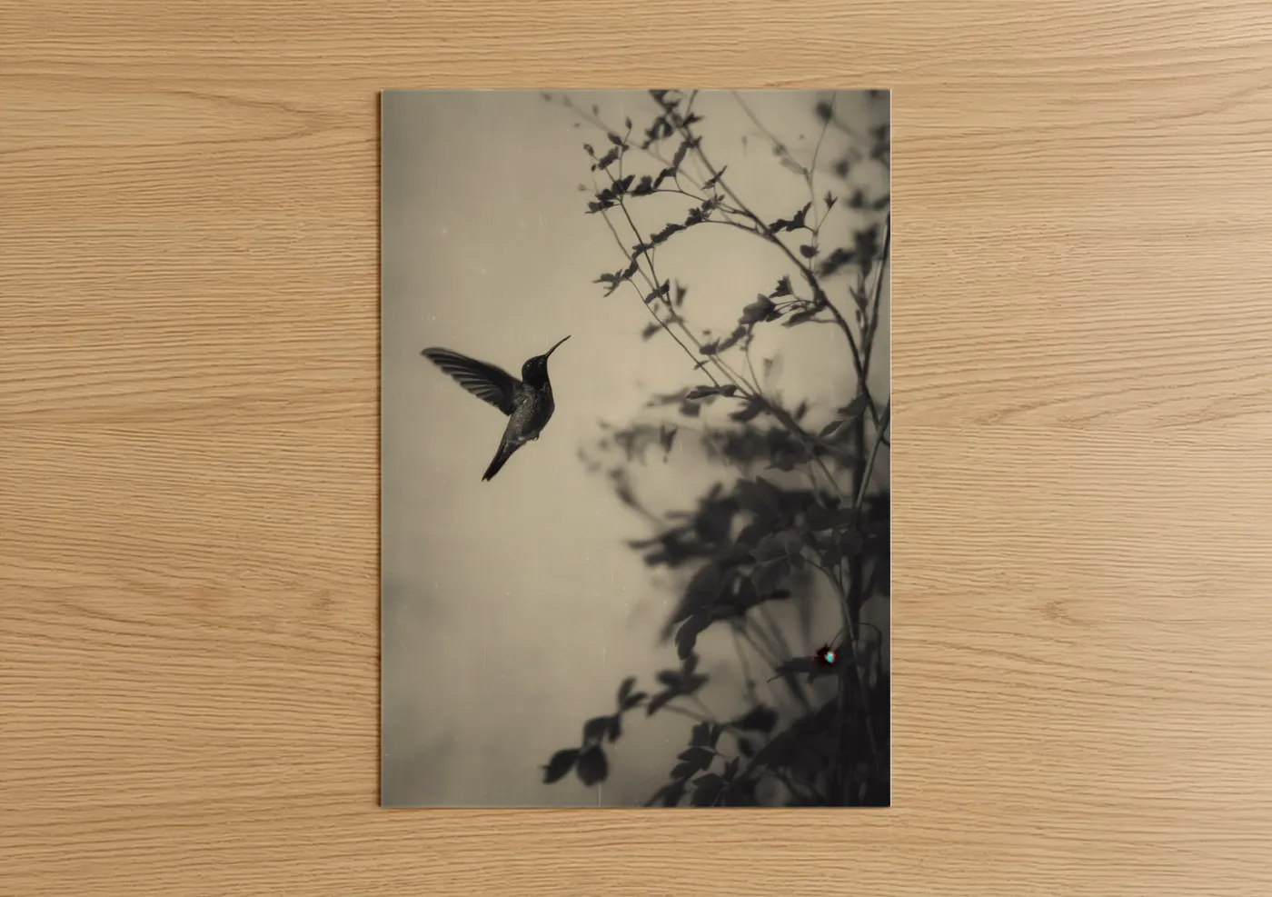 Art print on warm oak wood — black and white and gray palette — Hummingbird in Flight poster