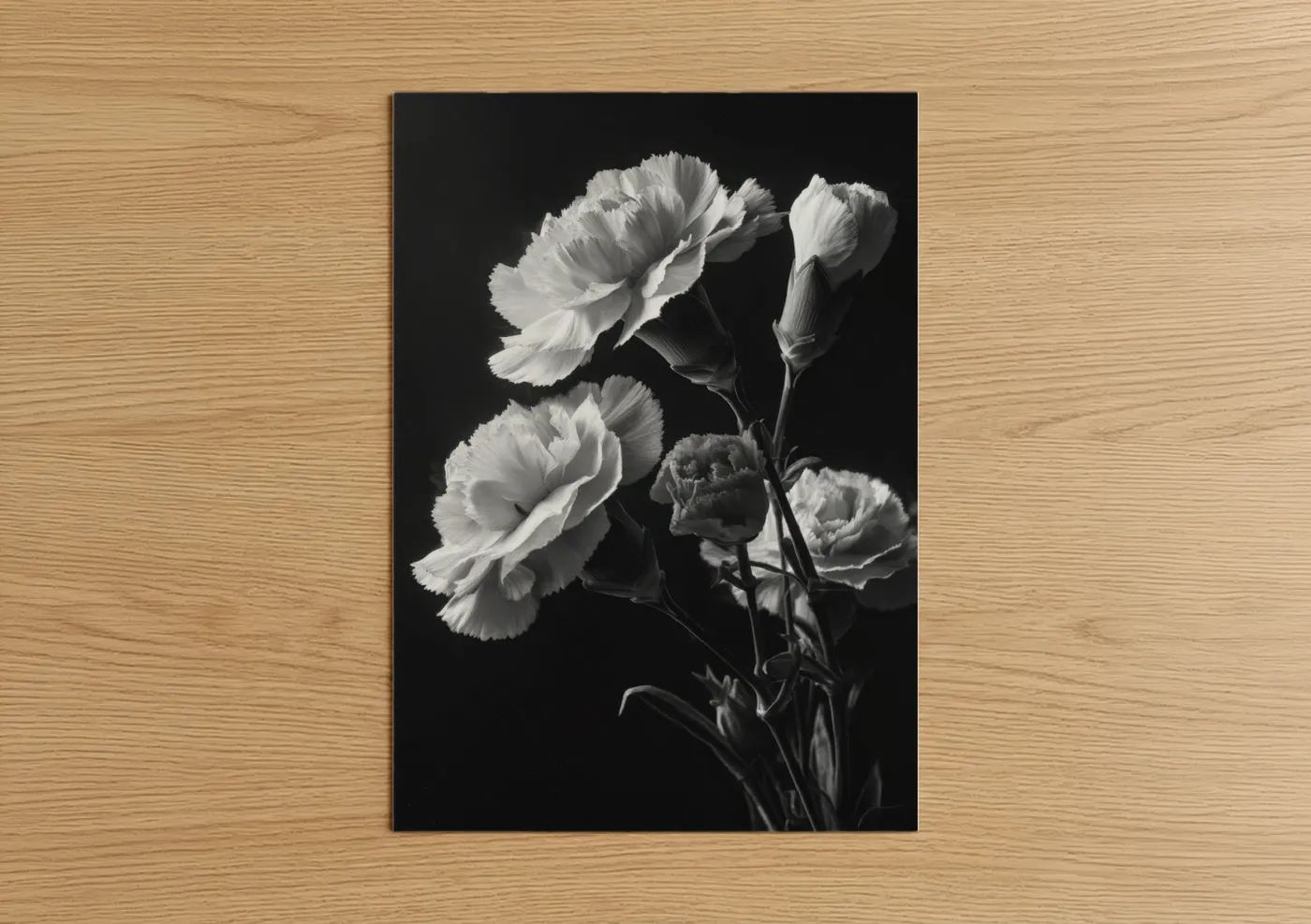 Elegant Black and White Carnations Wall Art