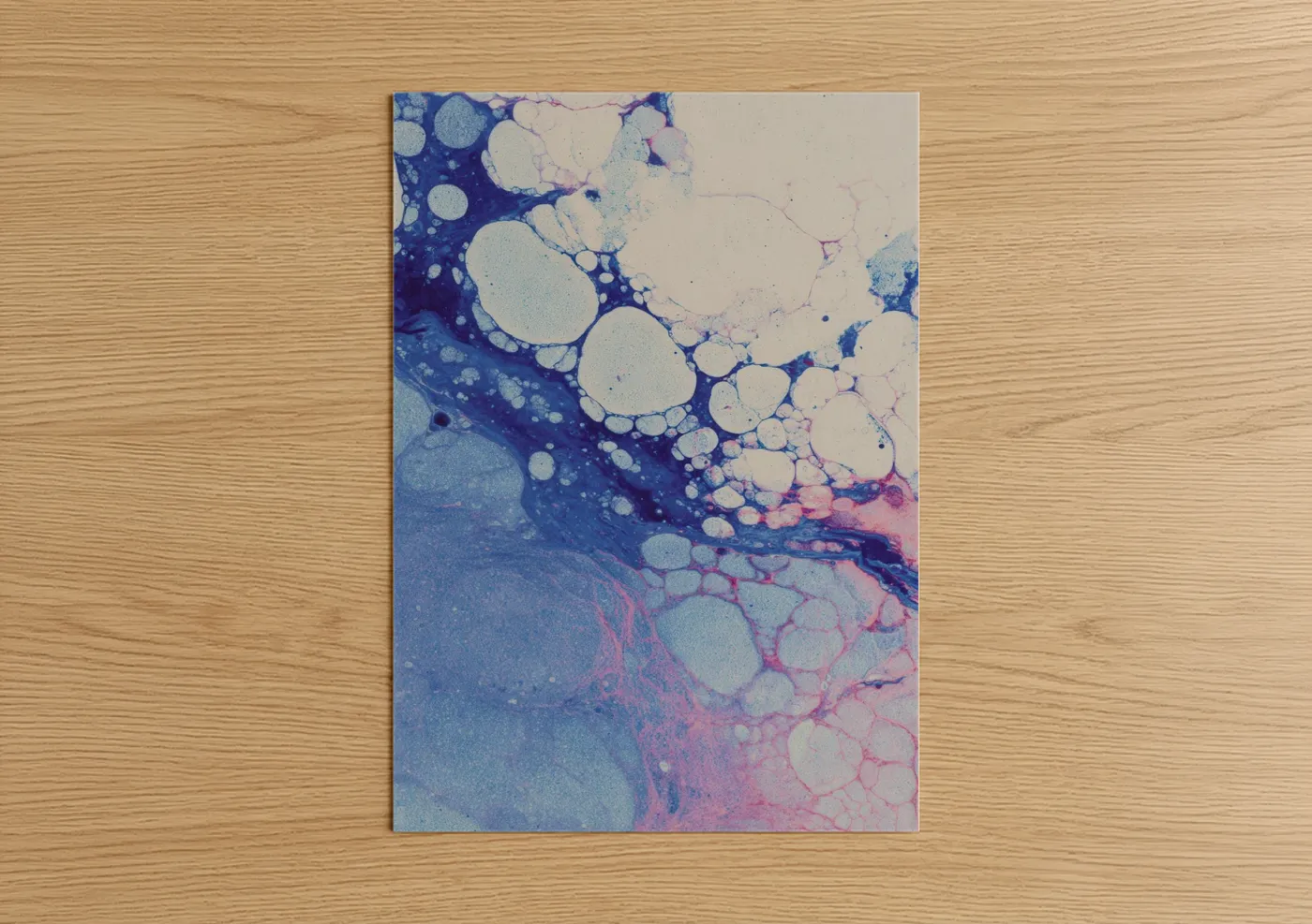 Art print on warm oak wood — blue and pink palette — Coral Reef Abstract poster