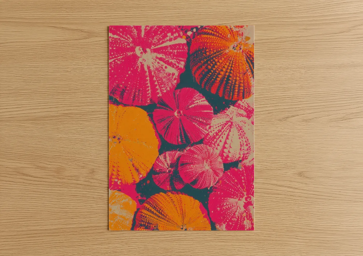Art print on warm oak wood — magenta and orange palette — Vibrant Sea Urchin poster
