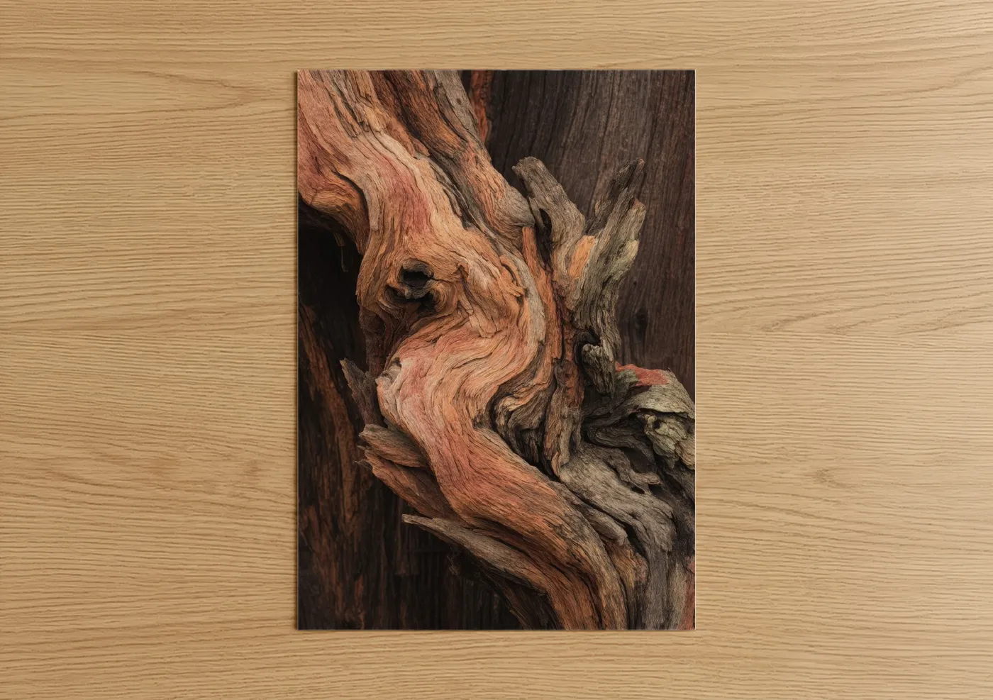 Weathered Juniper Tree Texture Detail Wall Art